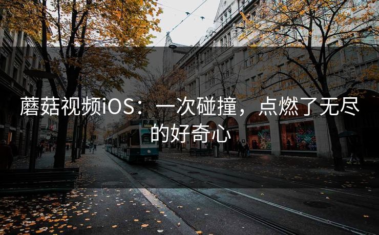 蘑菇视频iOS:一次碰撞,点燃了无尽的好奇心 蘑菇视频iOS:一次碰撞,点燃了无尽的好奇心