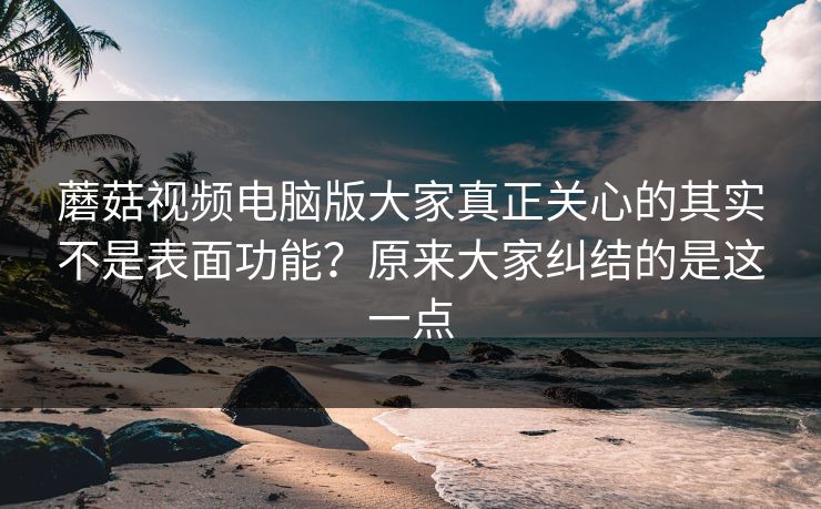 蘑菇视频电脑版大家真正关心的其实不是表面功能?原来大家纠结的是这一点 蘑菇视频电脑版大家真正关心的其实不是表面功能?原来大家纠结的是这一点