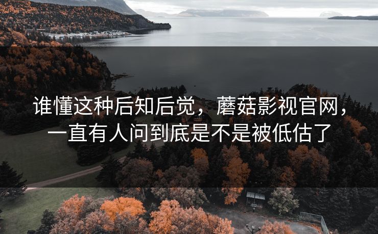 谁懂这种后知后觉，蘑菇影视官网，一直有人问到底是不是被低估了