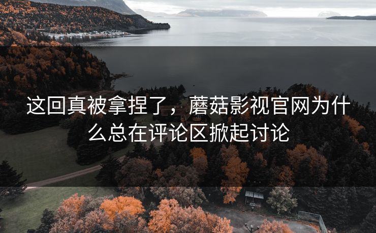 这回真被拿捏了,蘑菇影视官网为什么总在评论区掀起讨论 这回真被拿捏了,蘑菇影视官网为什么总在评论区掀起讨论