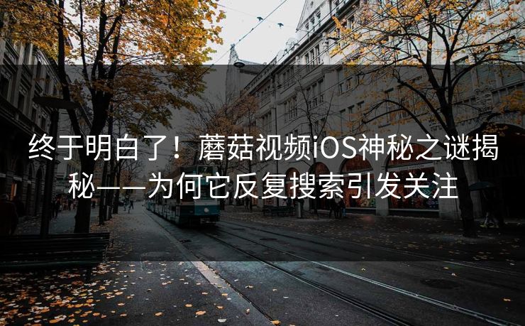 终于明白了!蘑菇视频iOS神秘之谜揭秘——为何它反复搜索引发关注 终于明白了!蘑菇视频iOS神秘之谜揭秘——为何它反复搜索引发关注