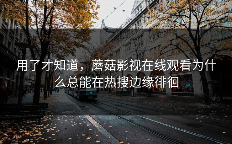 用了才知道，蘑菇影视在线观看为什么总能在热搜边缘徘徊