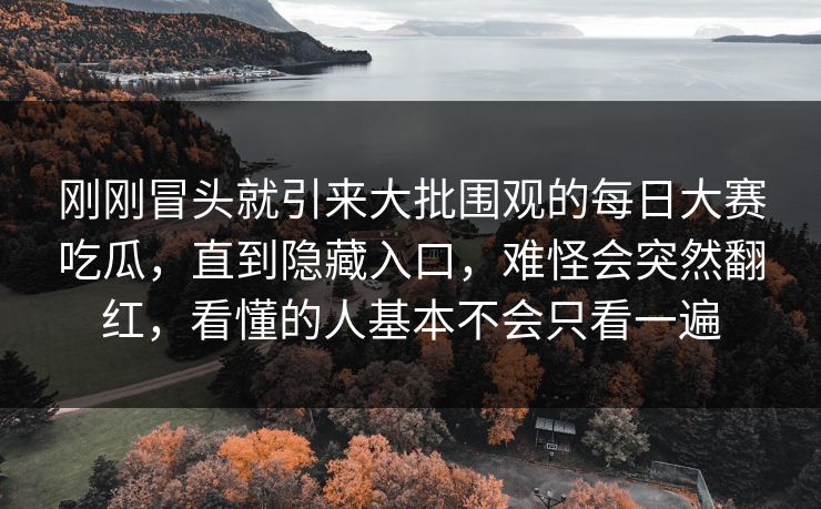 刚刚冒头就引来大批围观的每日大赛吃瓜，直到隐藏入口，难怪会突然翻红，看懂的人基本不会只看一遍