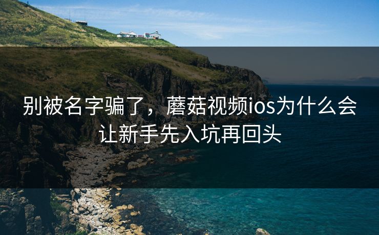 别被名字骗了，蘑菇视频ios为什么会让新手先入坑再回头