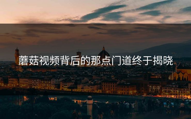 蘑菇视频背后的那点门道终于揭晓