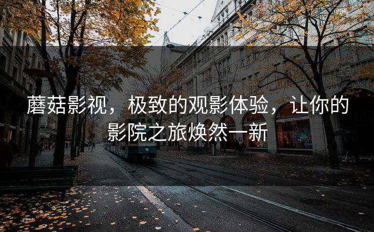 蘑菇影视,极致的观影体验,让你的影院之旅焕然一新 蘑菇影视,极致的观影体验,让你的影院之旅焕然一新